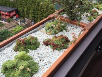 Výsadba vonkajších kvetináčov.